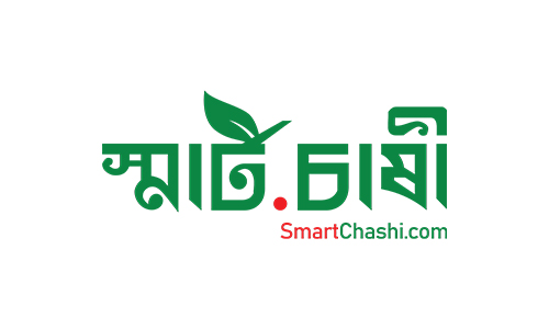 Smart Logo